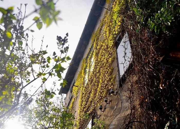 Street Food Possonium Apartment Bratislava