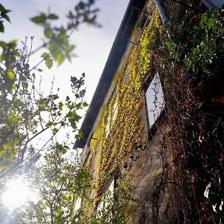 Street Food Possonium Lägenhet Bratislava