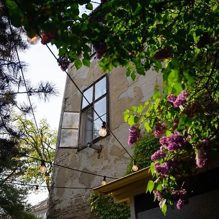 Street Food Possonium 布拉迪斯拉发